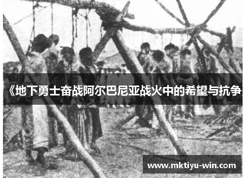 《地下勇士奋战阿尔巴尼亚战火中的希望与抗争》